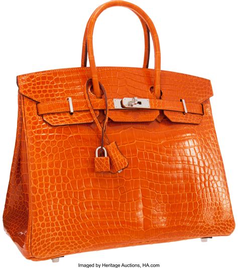 picture of hermes bag